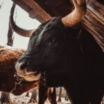 US Stock Bull Market Nears Fourth Birthday, But Rally's Narrowness Worries Investors image-47
